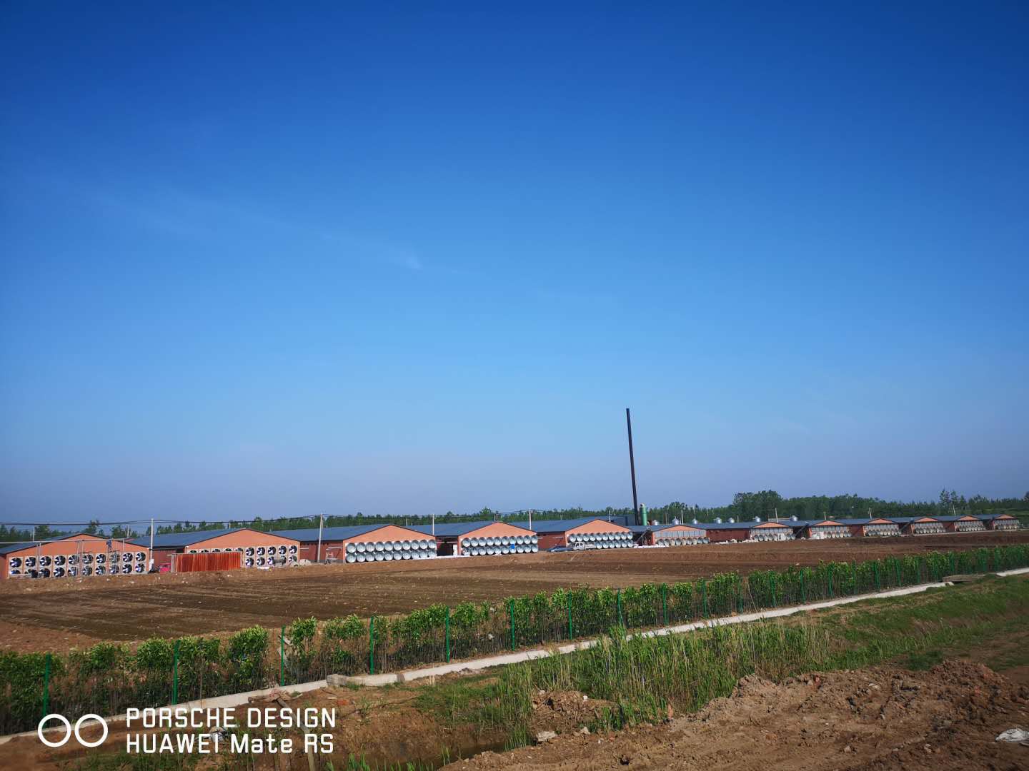 侍嶺鎮(zhèn)肉雞智慧養(yǎng)殖基地